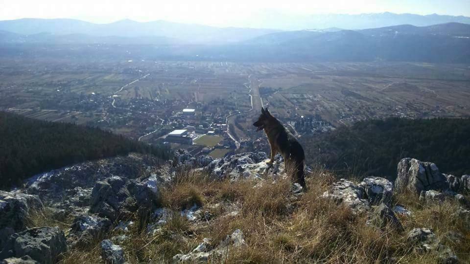 Apartman Studio Zdravko Eco Village Imotski Esterno foto